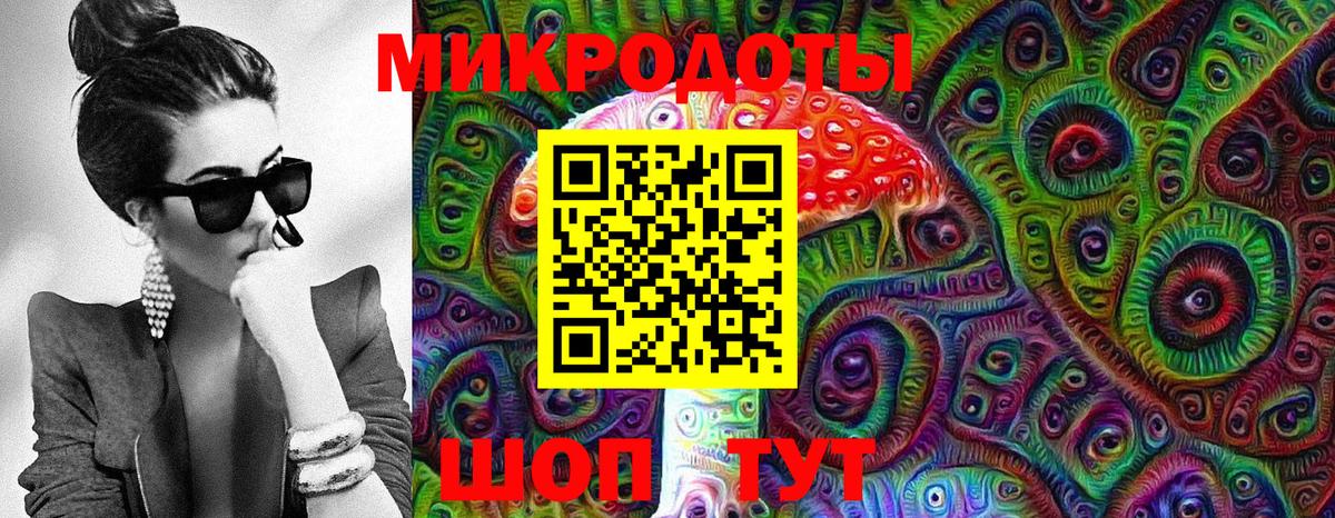 Галлюциногенные грибы Psilocybe  где купить наркотик  Новотроицк  Вход с VPN 