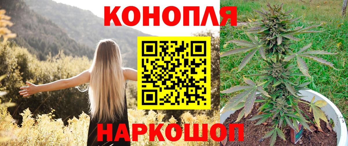 Бошки марихуана семена Новотроицк